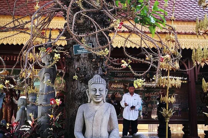 Phnom Penh Vital Discovery-Full Day Tour (Incluindo todos os serviços)