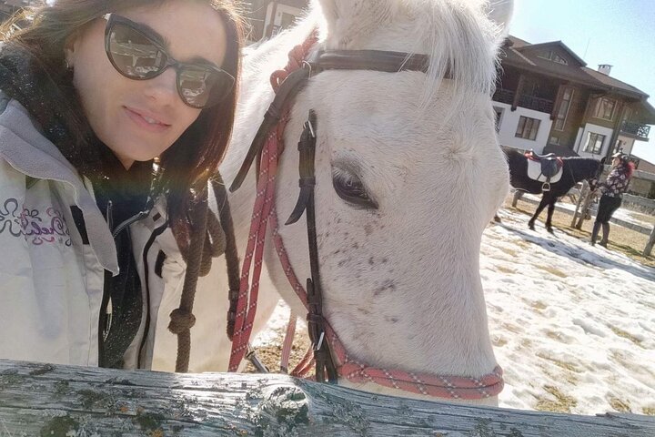 Horse Riding in the Heart of the Rhodope Mountains