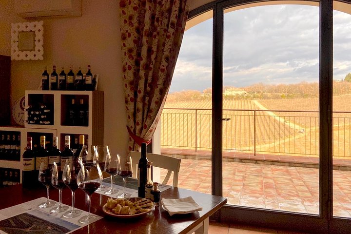Visite et dégustation de vins biologiques avec vue sur les vignobles Chianti Classico