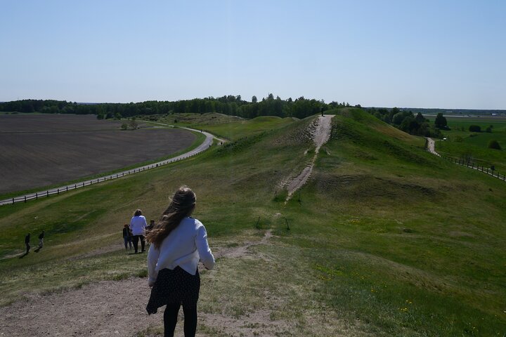 Visite privée d'une heure des célèbres tumulus d'Old Uppsala et de l'église médiévale