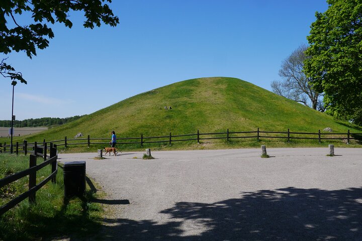 Visite privée d'une heure des célèbres tumulus d'Old Uppsala et de l'église médiévale