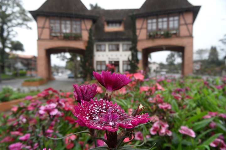 Ruta germánica - Cultural e histórica: Blumenau y Pomerode