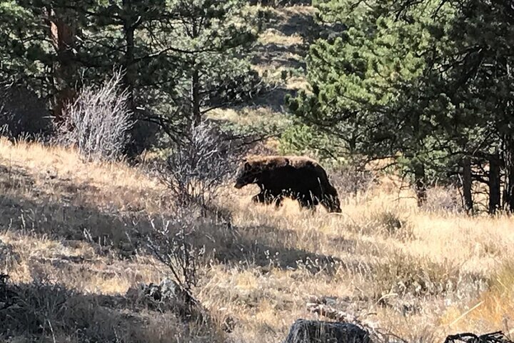 Rocky Mountain National Park i sommertur fra Denver