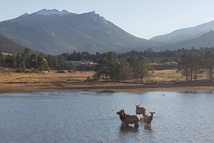 Rocky Mountain National Park i sommertur fra Denver