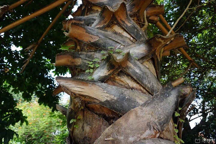 Phnom Penh Vital Discovery-Full Day Tour (Incluindo todos os serviços)