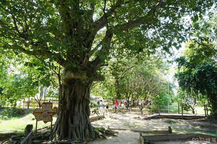 Phnom Penh Vital Discovery-Full Day Tour (Incluindo todos os serviços)