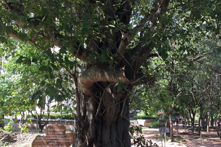 Phnom Penh Vital Discovery-Full Day Tour (Incluindo todos os serviços)