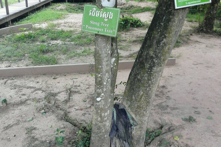 Phnom Penh Vital Discovery-Full Day Tour (Incluindo todos os serviços)