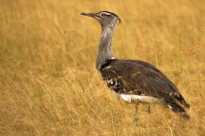 Privat dagstur från Bhuj till Narayan Sarovar Sanctuary