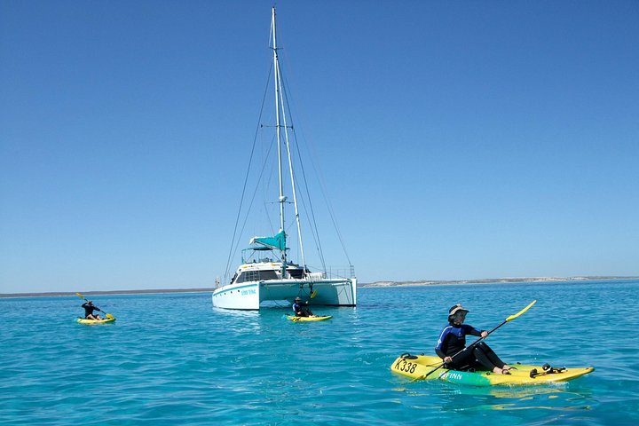 3 Nächte Ningaloo Reef Schnorchel- und Tauchausflug von Coral Bay