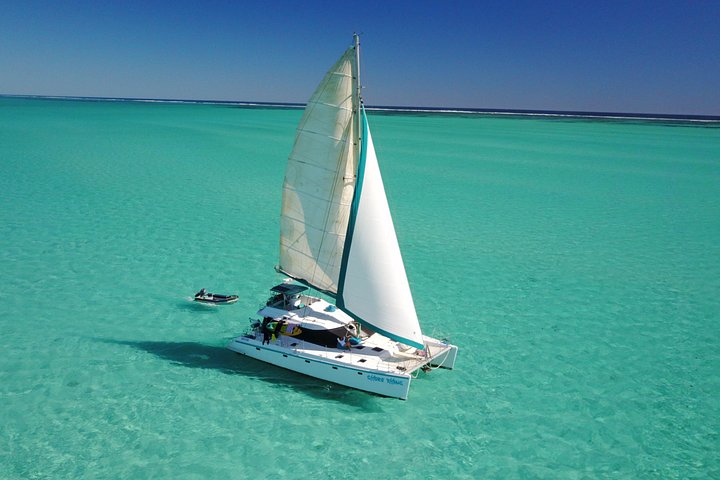 3 Nächte Ningaloo Reef Schnorchel- und Tauchausflug von Coral Bay