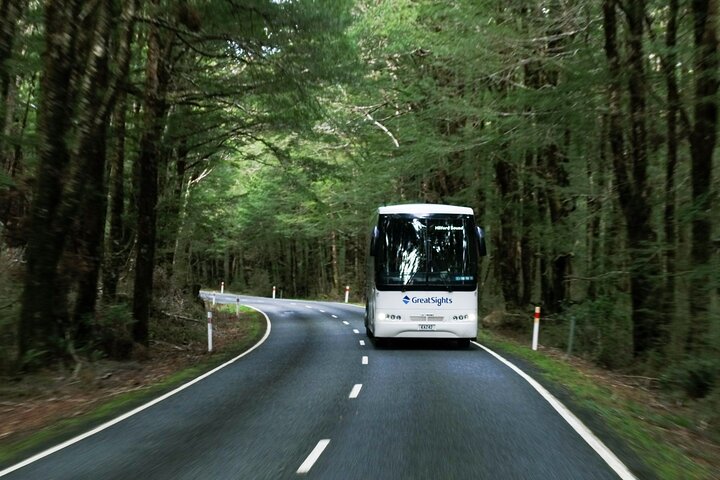 Fra Te Anau: Milford Sound Cruise og glass-tak busstur