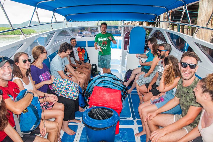 Excursion d'une journée aux îles Phi Phi avec déjeuner au départ de Krabi
