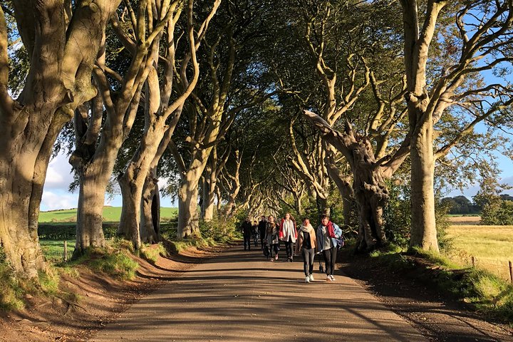 Chaussée des Géants, pont de corde, château de Carrickfergus et visite de Dark Hedges