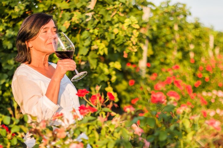 Tour pela vinícola e degustação de vinhos em Montepulciano d'Abruzzo