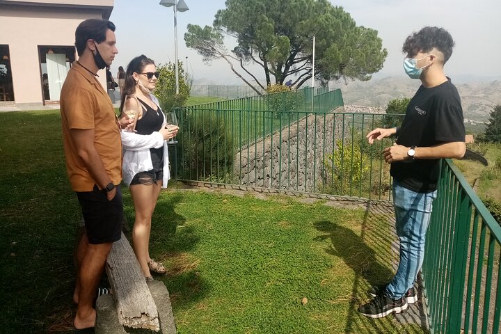 Privérondleiding van 6 uur langs drie Etna-wijnhuizen met eten en wijnproeverij