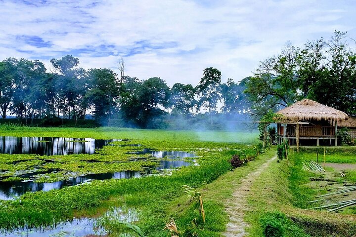 Visite privée du domaine de thé d'Assam, de la forêt tropicale et de l'île de la rivière