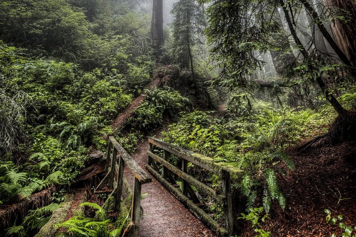 Visite privée du domaine de thé d'Assam, de la forêt tropicale et de l'île de la rivière