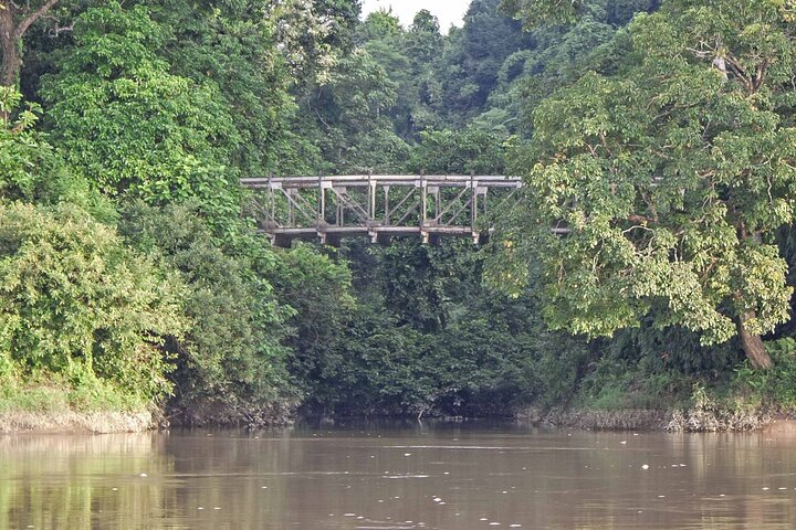 Visite privée du domaine de thé d'Assam, de la forêt tropicale et de l'île de la rivière