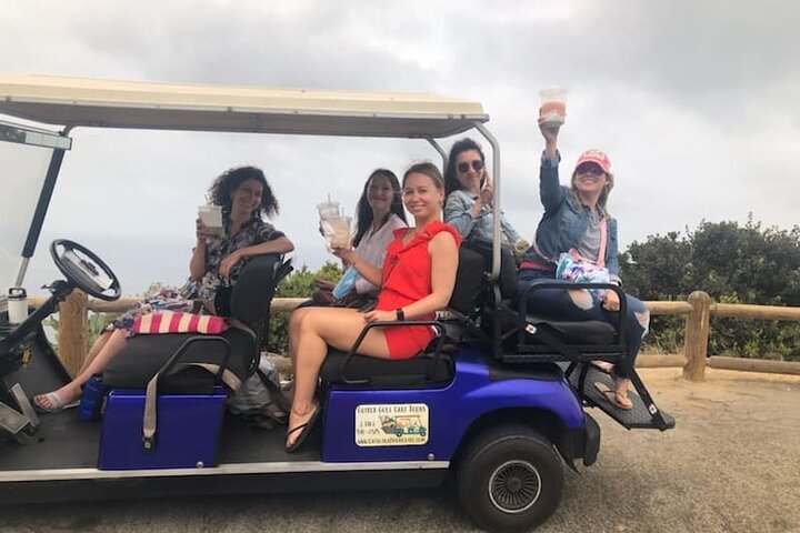 Visita guiada privada en carrito de golf de Isla Catalina