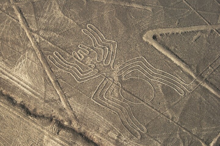 2-dages tur fra Lima: Nazca Lines Flight, Paracas og Huacachina