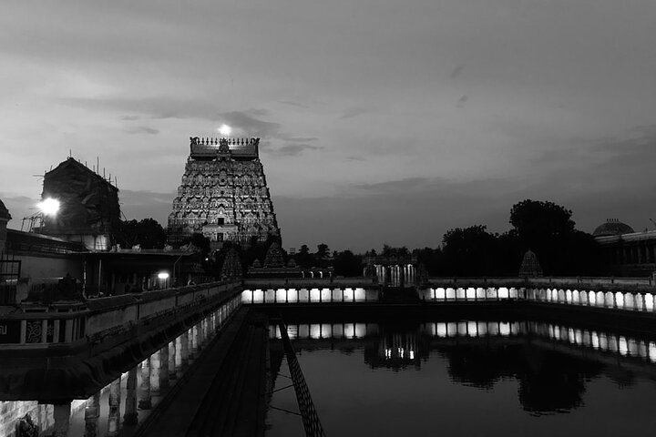 Pichavaram Mangrove e Nataraja Temple Chidambaram da Pondicherry con pranzo