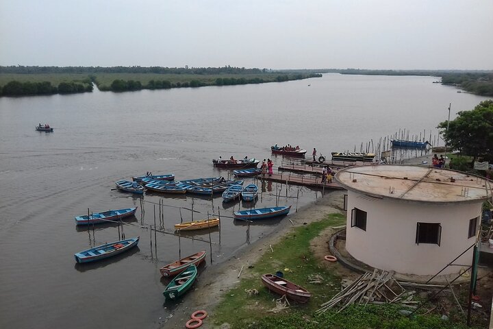 Pichavaram Mangrove e Nataraja Temple Chidambaram da Pondicherry con pranzo
