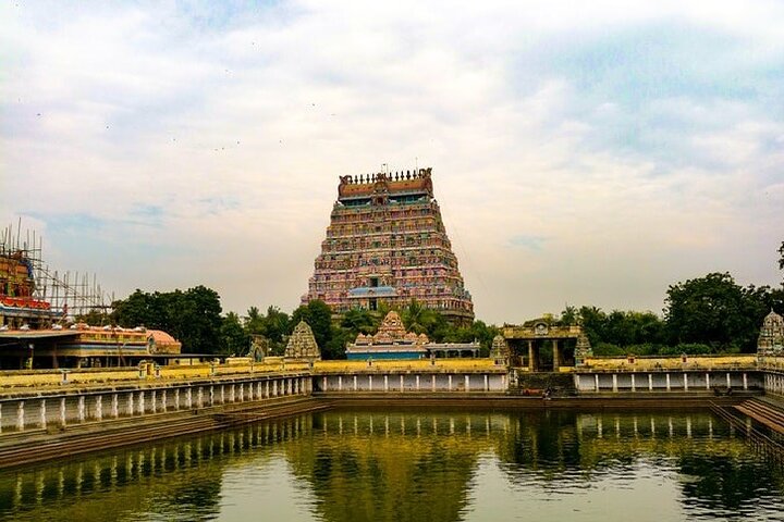 Pichavaram Mangrove e Nataraja Temple Chidambaram da Pondicherry con pranzo