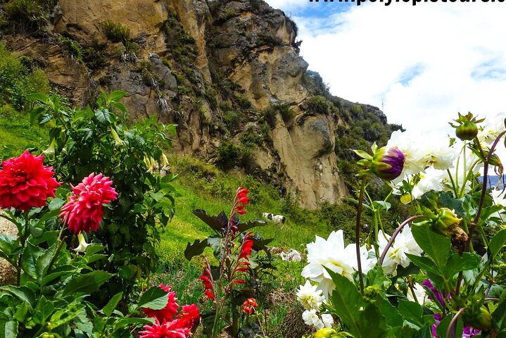 Visite culturelle Ruines d'Ingapirca + Gualaceo et Chordeleg au départ de Cuenca