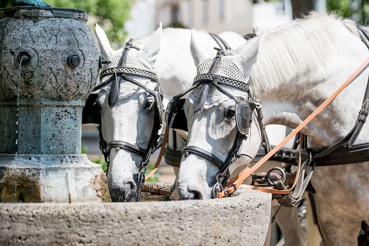 Tour privato a piedi di Baden-Baden con una guida professionale
