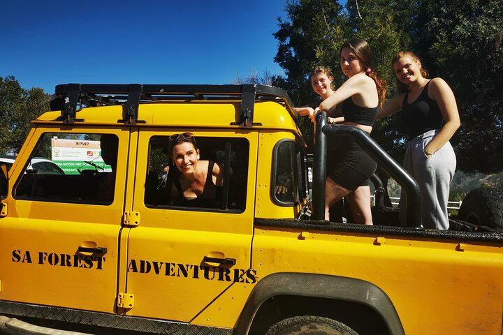 Excursão de tirolesa em Knysna