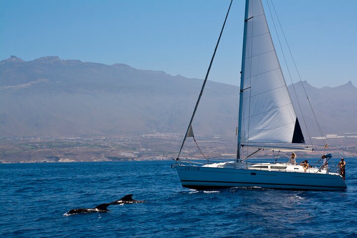 Privat yachtudflugt fra Puerto Colon 3 timer