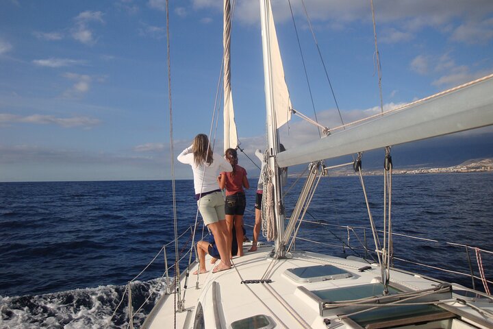 Privat yachtudflugt fra Puerto Colon 3 timer
