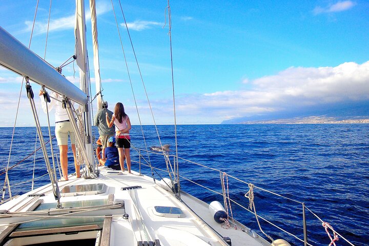 Privat yachtudflugt fra Puerto Colon 3 timer