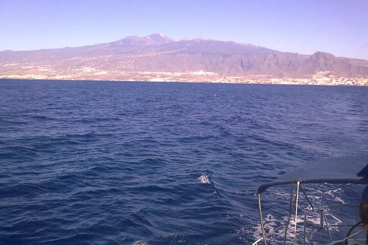 Privat yachtudflugt fra Puerto Colon 3 timer