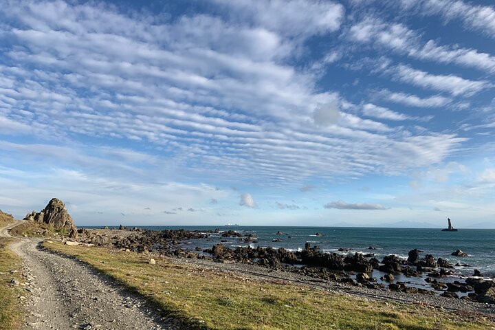 Seal Coast Safari - Exclusieve toegang tot Wellington's geheime kust