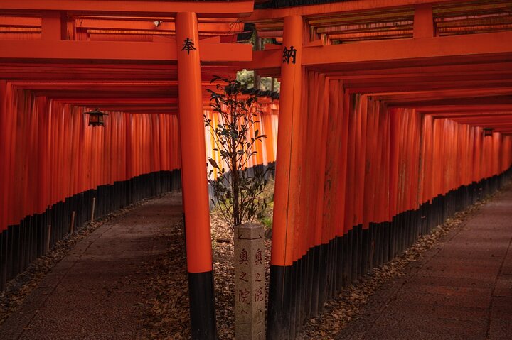 10 must-see plekken in Kyoto Eendaagse privétour