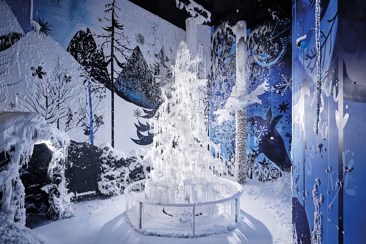 Swarovski Crystal Worlds Admission Billett inkludert skytteloverføring fra Innsbruck
