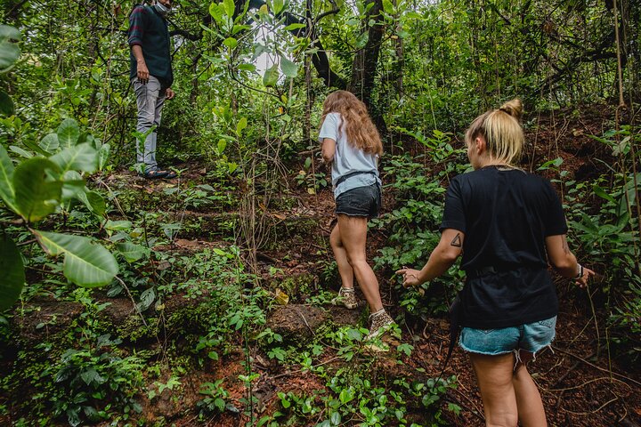 Heldagstur till Chorao Island Natur, kulturarv och matlagning