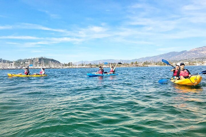 Wildlife Kayak Tour em Porto de Santa Barbara (2 horas)