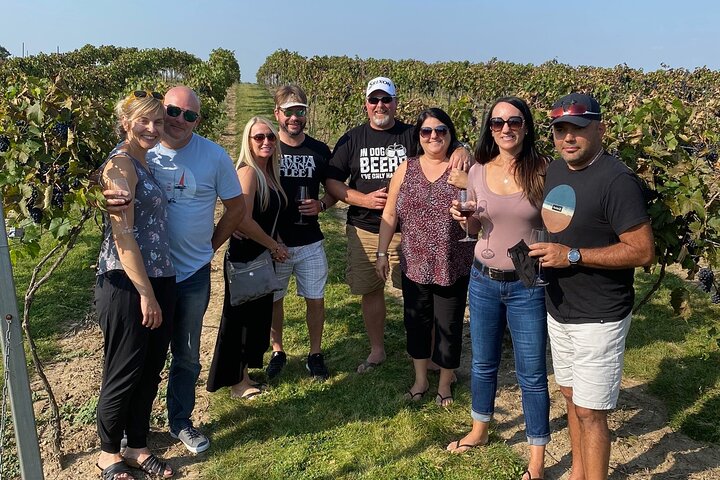 Privado: Excursão de degustação de cerveja, vinícola e cidra e destilados no sudoeste de Ontário