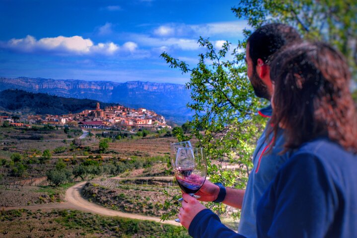 Tour privato di vino e olio nella regione del vino Priorat