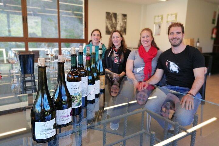 Tour privato di vino e olio nella regione del vino Priorat