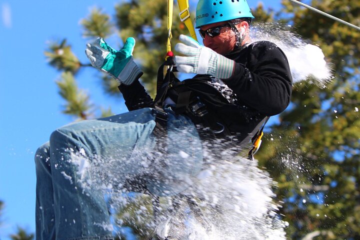 Zipline Tour: 9 linee zip ad alta velocità e divertente ponte sospeso