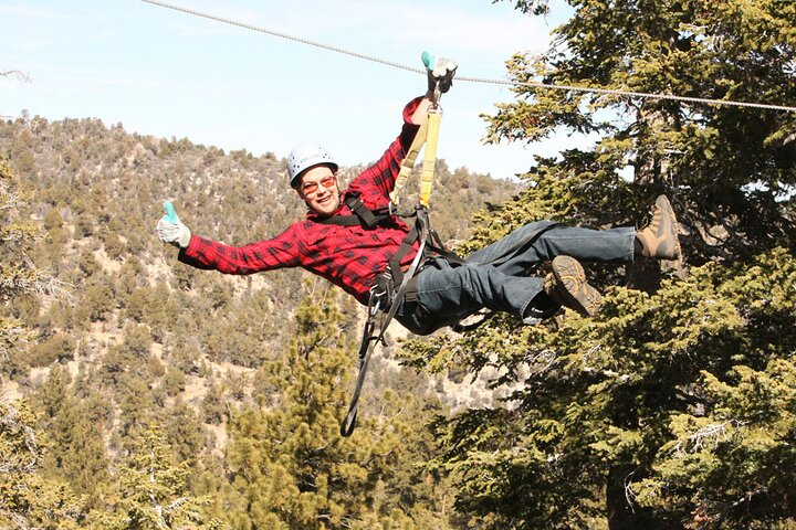Zipline Tour: 9 linee zip ad alta velocità e divertente ponte sospeso