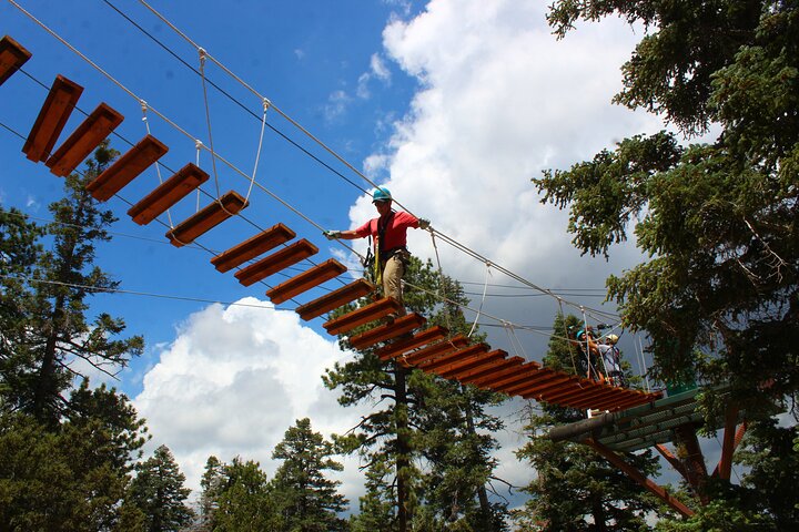 Zipline Tour: 9 linee zip ad alta velocità e divertente ponte sospeso