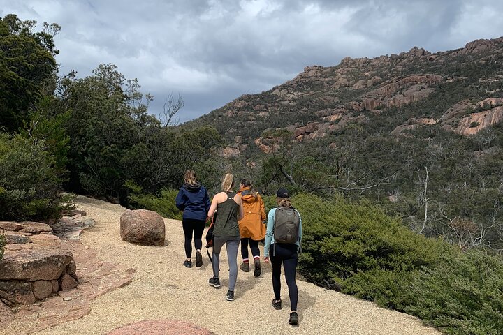 Launceston : Wineglass Bay & Freycinet Explorer Gita di un giorno