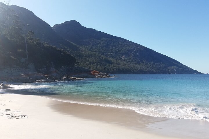 Launceston : Wineglass Bay & Freycinet Explorer Gita di un giorno