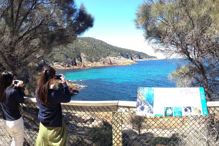 Launceston : Wineglass Bay & Freycinet Explorer Gita di un giorno