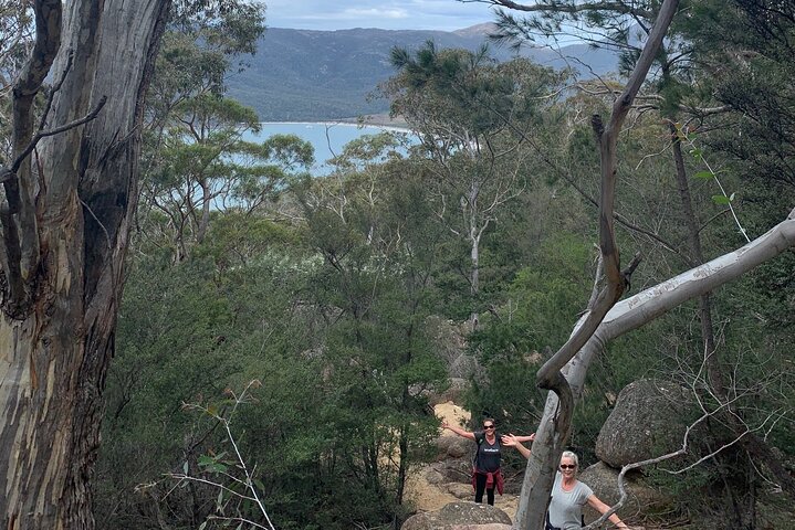 Launceston : Wineglass Bay & Freycinet Explorer Gita di un giorno